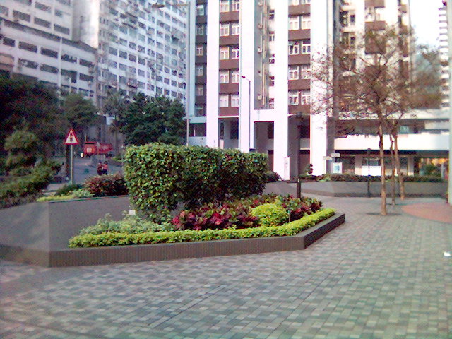 照片(15).jpg